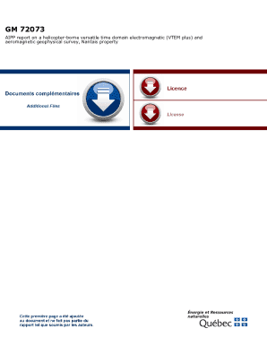 report on a helicopter-b versatile time domain ...