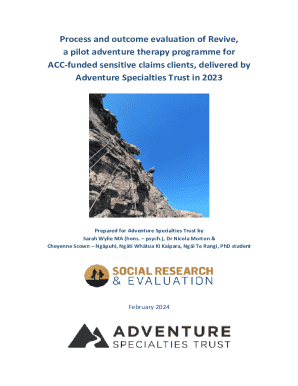 Revive Evaluation Report