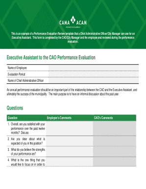 Performance Evaluation Review Template