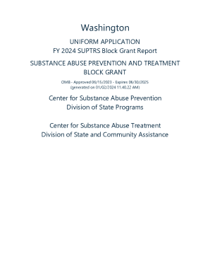 Uniform Application Fy 2024 Suptrs Block Grant Report