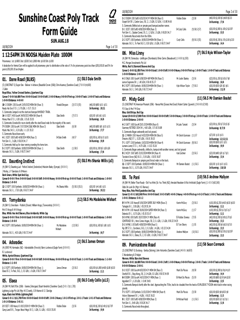 Form preview