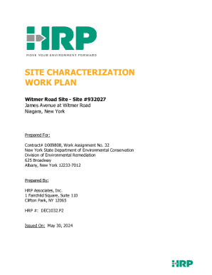 Bright Outdoors RIFS Work Plan - NY.gov