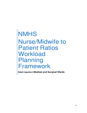 Nmhs Nurse/midwife to Patient Ratios Workload Planning Framework