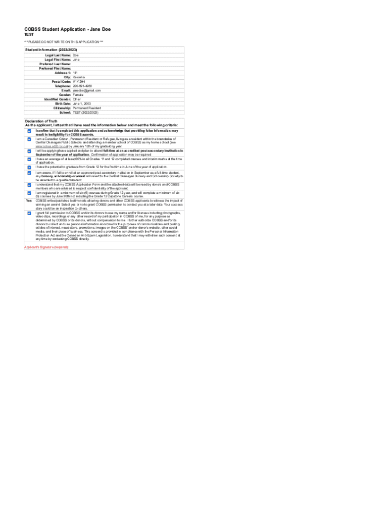 Form preview
