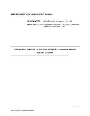 Skyline faces court over destructive Queenstown slip