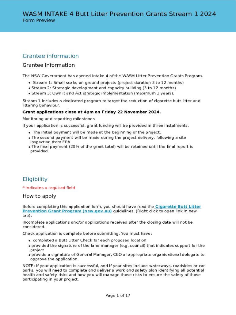 Form preview