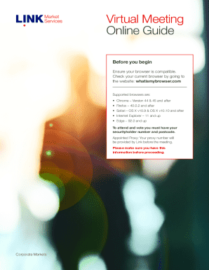 Virtual Meeting Online Guide