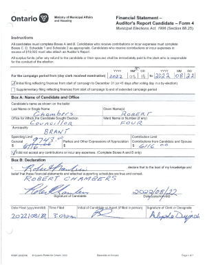 Financial Statement Auditor's Report Candidate - Form 4