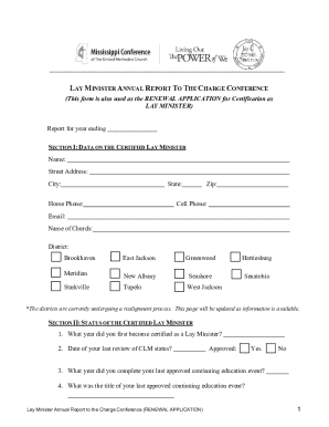 Lay Minister Annual Report