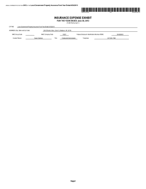 Annual Statement 2012 Local Government Property Insurance Fund