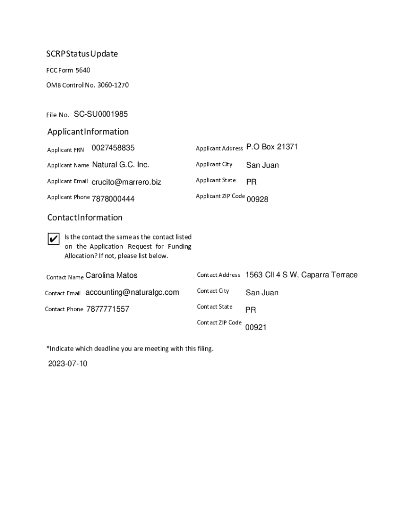 Form preview