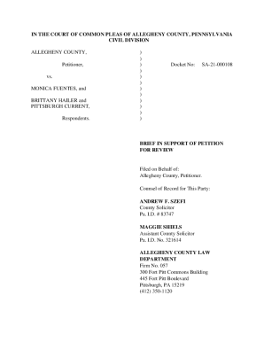 Brief in Support of Petition for Review