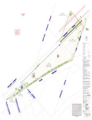 Feature & Level Survey