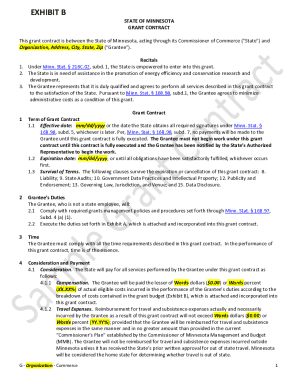 Grant Contract. Organization