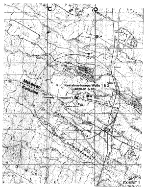 Kealahou-snowpalm Well Construction and Pump Installation Permit