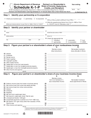 Illinois Schedule K-1-P Form