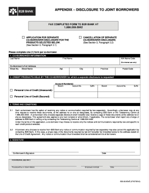 Co-Borrower Disclosure Form