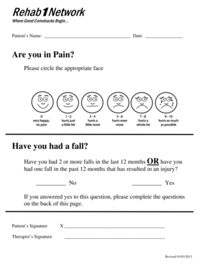 Falls Efficacy Scale Assessment Form