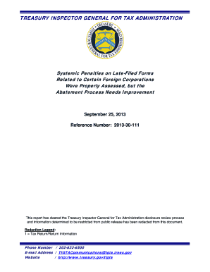 IRS Form 5471 Penalty Assessment Report