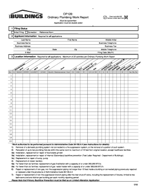 Ordinary Plumbing Work Report