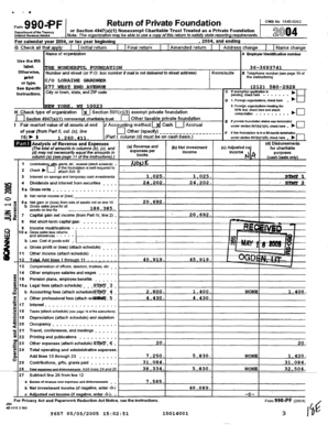 IRS Form 990-PF 2004