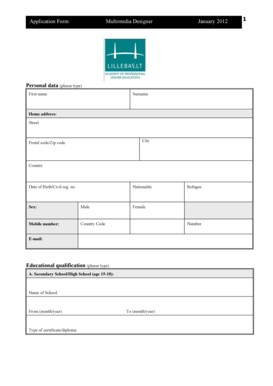 Multimedia Designer Application Form