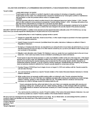 Non-Standard Rental Provisions Addendum