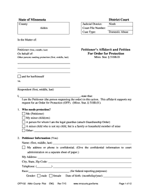 Minnesota Domestic Abuse Order for Protection