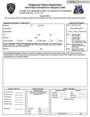 Form preview picture