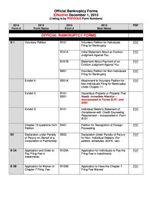 US Bankruptcy Petition Forms