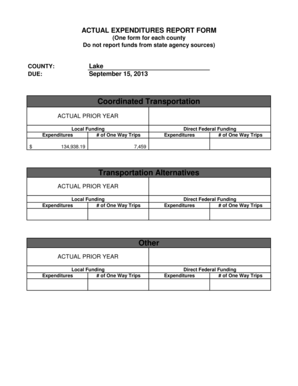 Lake County - 2012/2013 Actual Expenditure Form