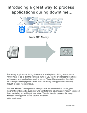 GE Money Downtime Application Processing