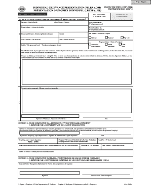 Individual Grievance Presentation Form (PSLRA s. 208)