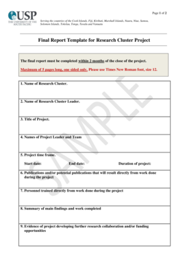 Final Report Template for Research Cluster Project - Research@USP - research usp ac