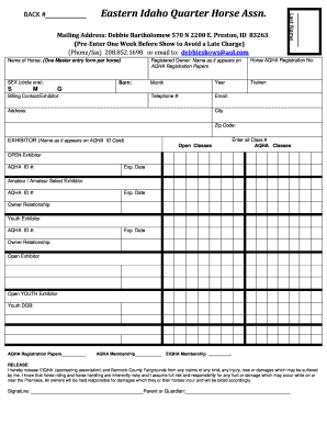 Form preview picture