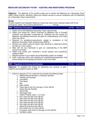 Medicare Secondary Payer Audit Form