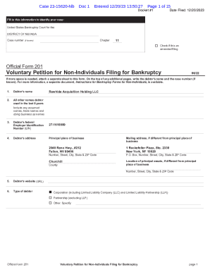 Voluntary Petition for Non-individuals Filing for Bankruptcy