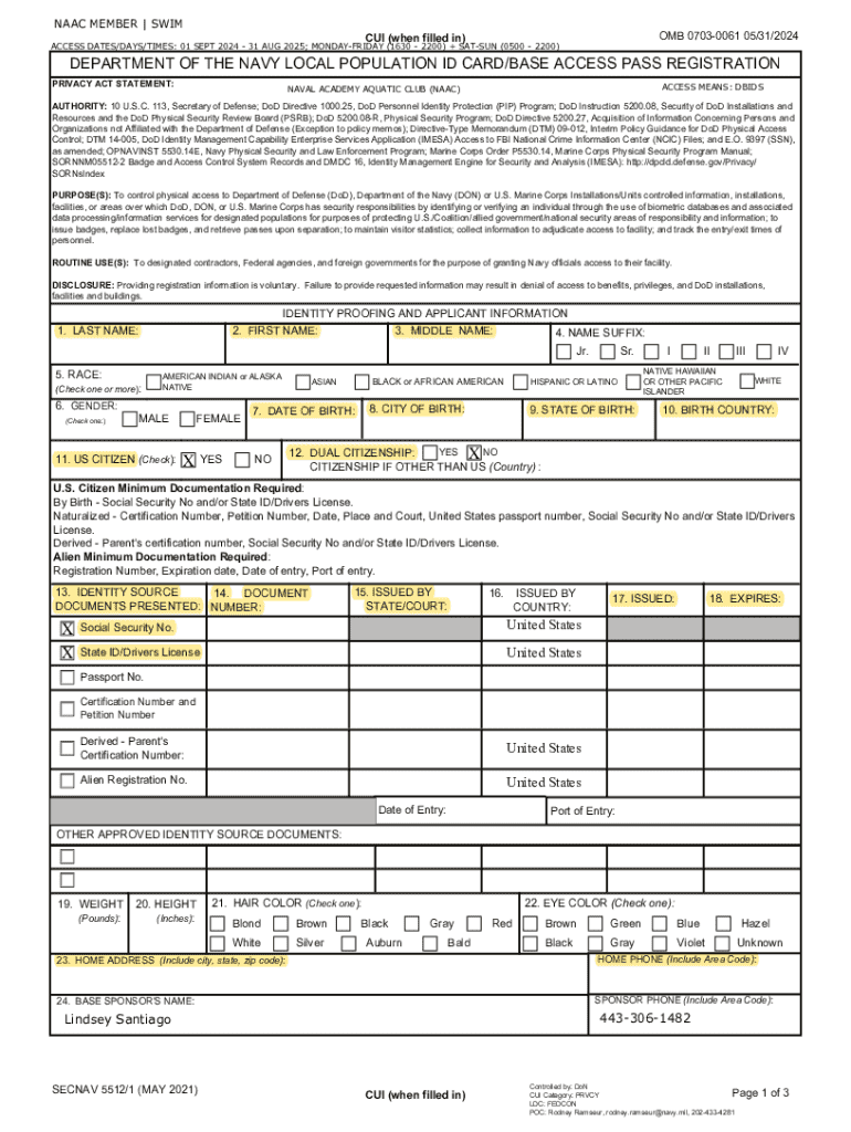 Form preview