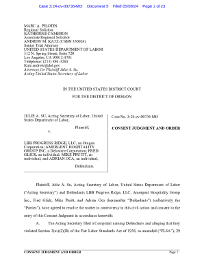 Consent Judgment and Order