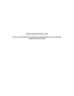 Cuentas anuales pymes entidades sin nimo de lucro a 31 ...