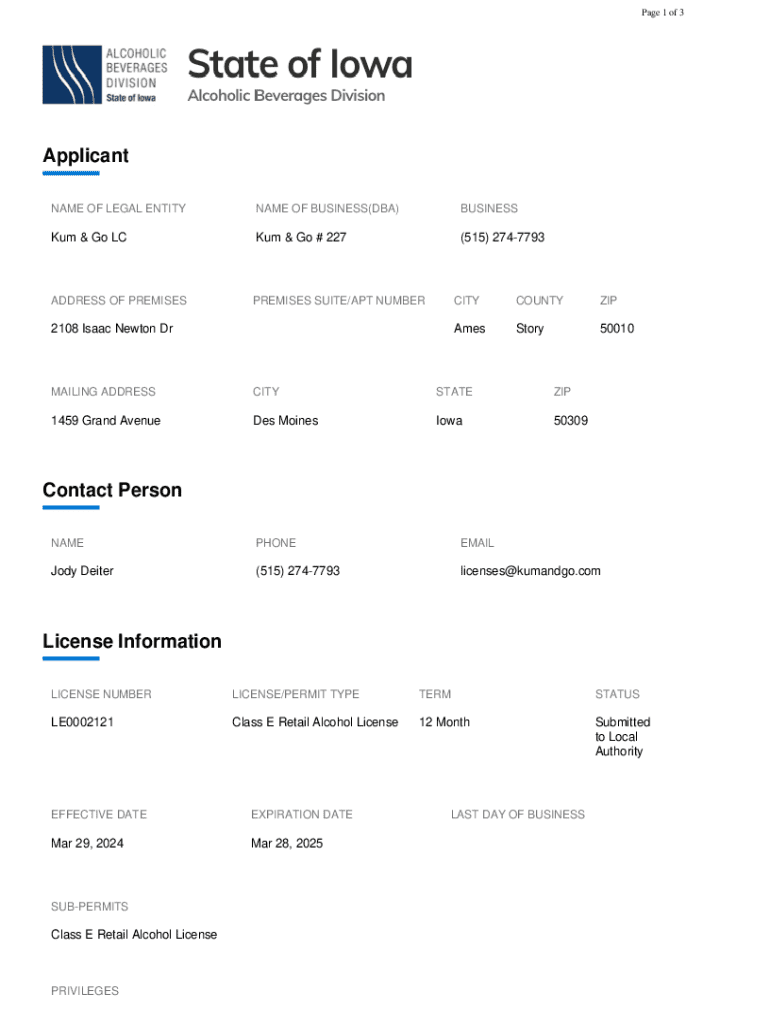 Form preview