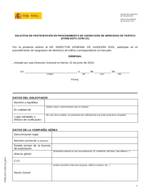 Solicitud de participación en procedimiento de asignación de derechos de tráfico