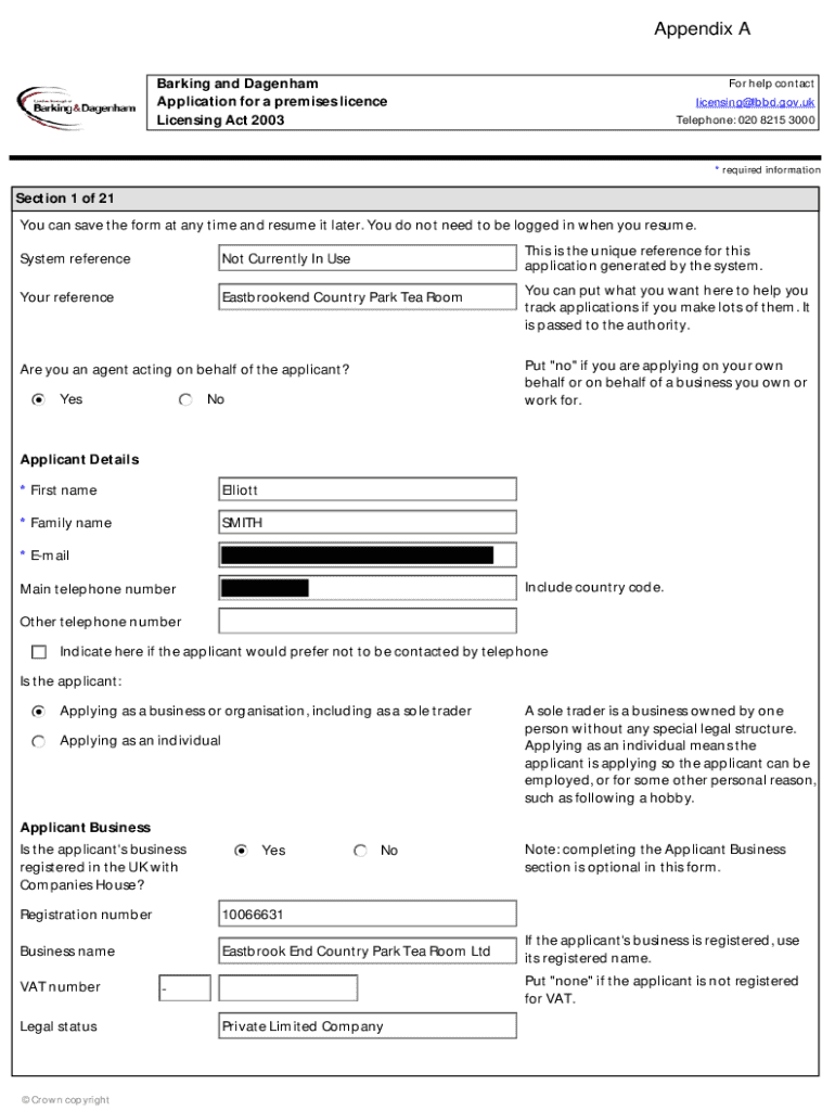Form preview