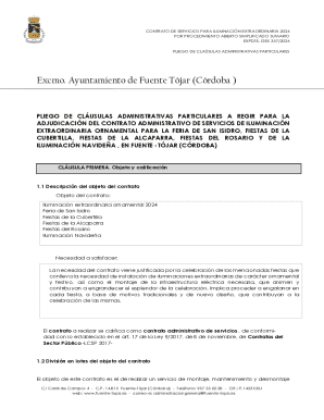 Contrato de servicios para iluminación extraordinaria 2024
