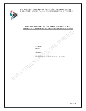 Directora de excavaciones, demoliciones y tuberas
