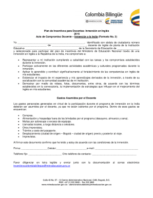 Plan de incentivos para docentes- inmersión en inglés