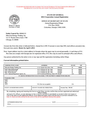 Georgia Corporation Annual Registration