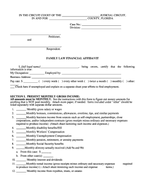 Florida Family Law Financial Affidavit