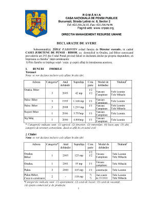 Romanian Public Pension Asset Declaration
