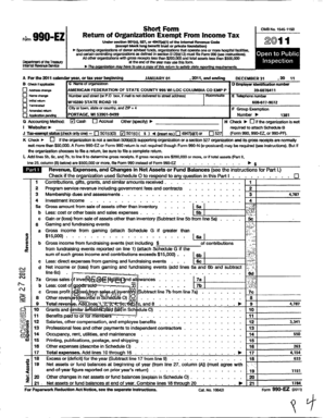 Form 990-EZ 2011